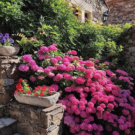 Le Mas De Ribard Breau-et-Salagosse ภายนอก รูปภาพ