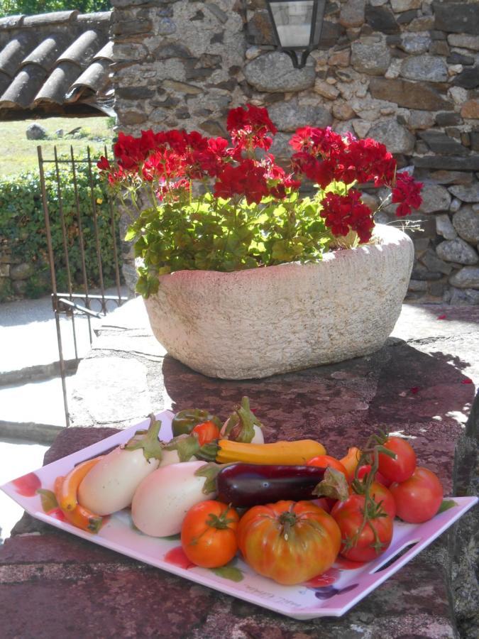 Le Mas De Ribard Breau-et-Salagosse ภายนอก รูปภาพ